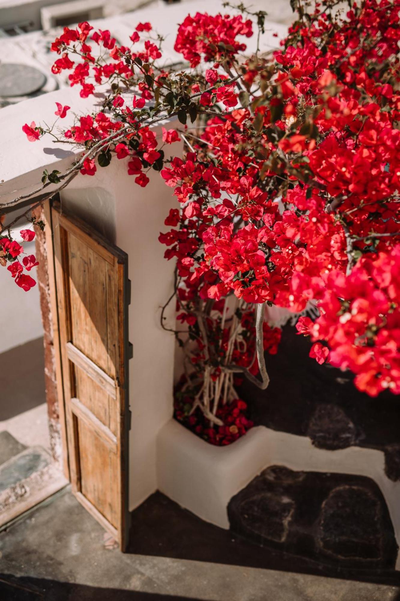 Spitia Santorini Villa Collection Oía Exteriér fotografie